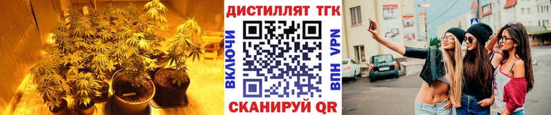 Дистиллят ТГК THC oil Спасск-Рязанский