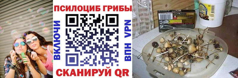 гидра маркетплейс Спасск-Рязанский Галлюциногенные грибы Psilocybe
